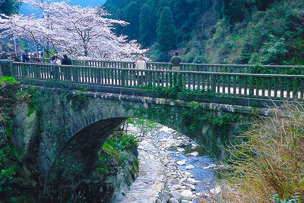 つづら折りの山道を上る脊振