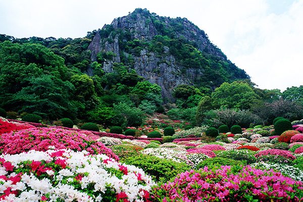 パワースポットをめぐる武雄温泉コース