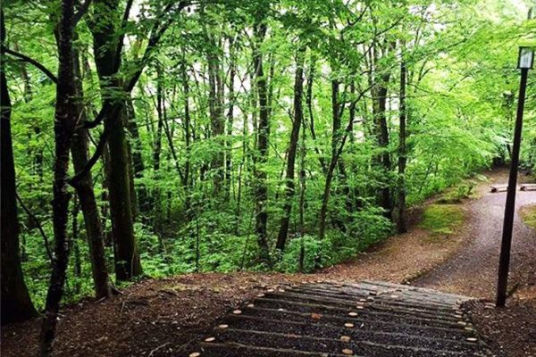 ランニングのメッカ！一つ森公園コース