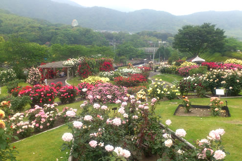 眺めのよい丘陵地。錦江湾公園周回コース