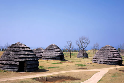 9500年前の集落遺跡。上野原縄文の森コース