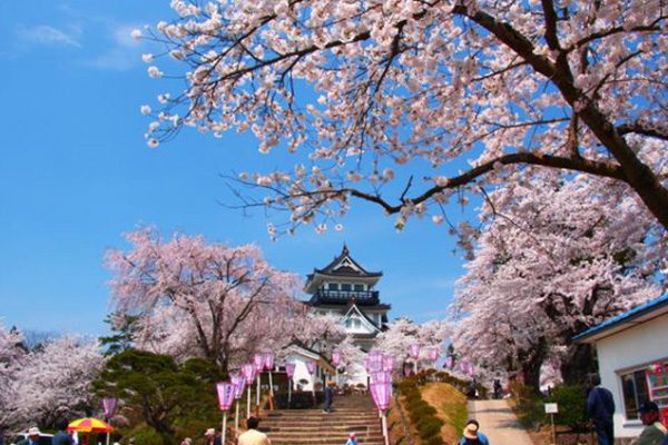 展望台から鳥海山を一望！横手公園コース