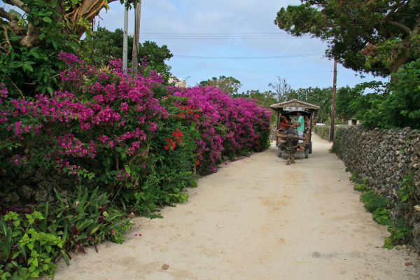 竹富町レトロ町並体験コース