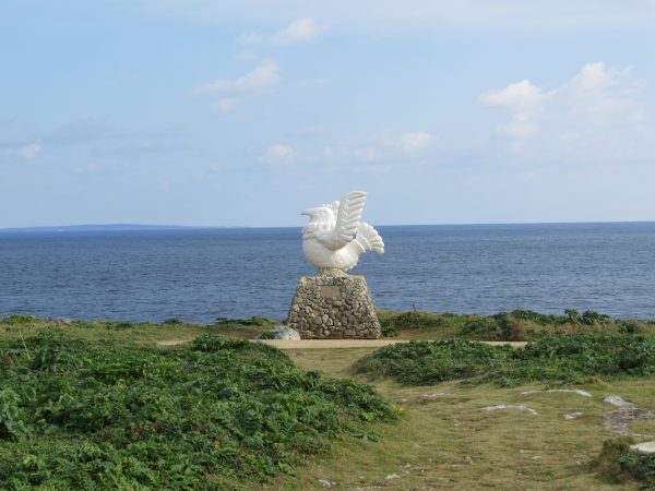 辺戸岬とさとうきび畑コース