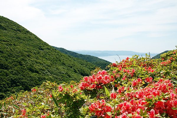 ヒルクライム好きに！御霊櫃(ごれいびつ)峠走コース