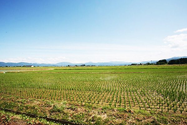 会津盆地の恵みを体感！仏都・米どころ会津コース
