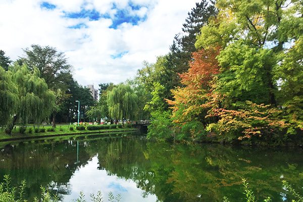 100余年の歴史ある常盤公園周回コース