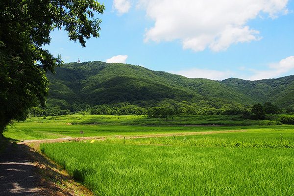山道をゆく宝篋山
