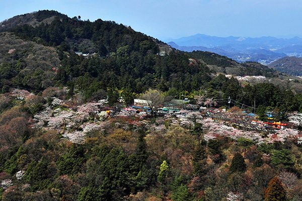 歴史ある山を上る！太平山山頂めぐりコース