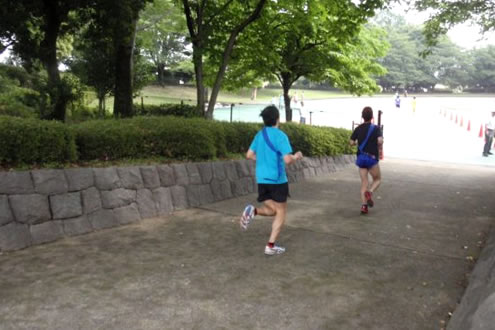 緑の木々に囲まれて走る！前橋総合運動公園周回コース