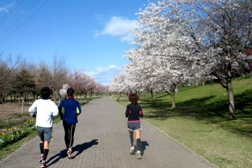 広瀬川両岸をつなぐ、ラブリバー親水公園コース