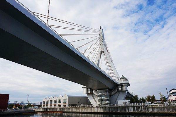 ランナーに人気！AOMORIマラソン10kmコース