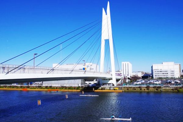 レース日は歓声も聞こえる！戸田ボート周回コース