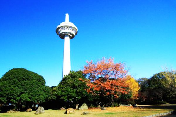 日本初の飛行場！所沢航空記念公園コース