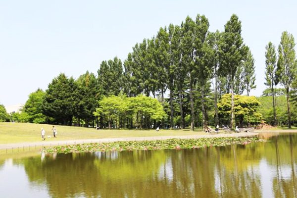 狭山稲荷山公園・彩の森入間公園コース