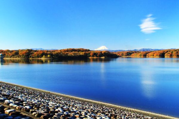 起伏あり！未舗装路あり！狭山丘陵一周コース