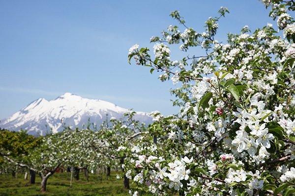 信仰の山・岩木山神社コース