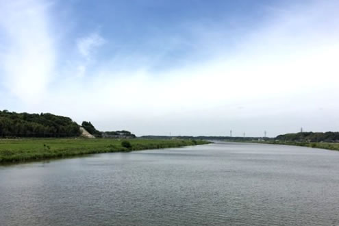 自然いっぱいの水辺の景色！印旛沼ぐるりコース