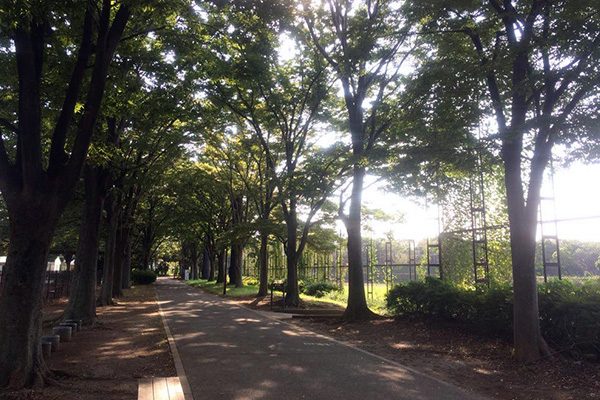 風を感じて走る！大井埠頭中央海浜公園コース
