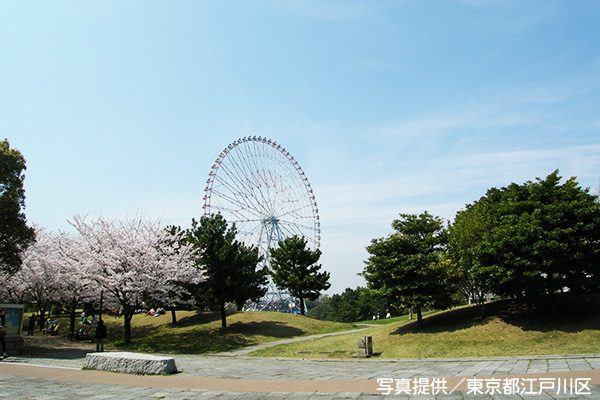 潮風と走ろう！　葛西臨海公園コース
