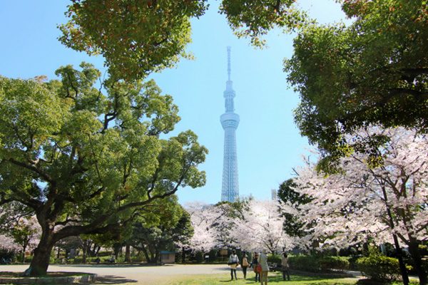 隅田川・スカイツリー眺望コース