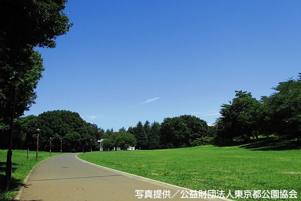 緑陰を走る！光が丘公園ランニングコース