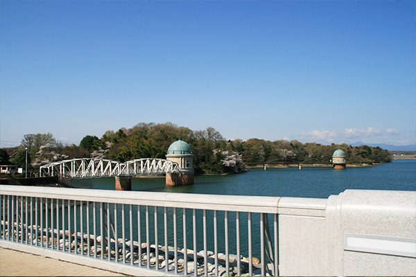 多摩湖サイクリングロードコース