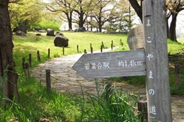 万葉ロマン「よこやまの道」プチトレイルコース