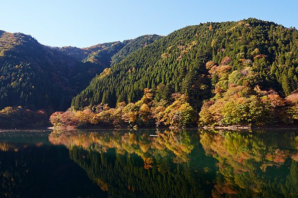 奥多摩むかし道コース