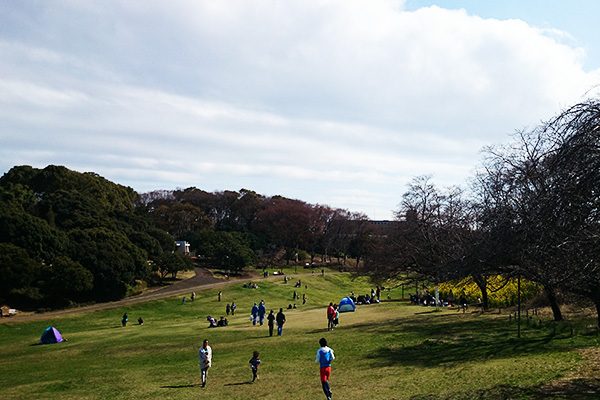 日本初の競馬場・根岸森林公園コース
