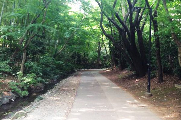 雑木林と公園をつないで走る都筑緑道コース