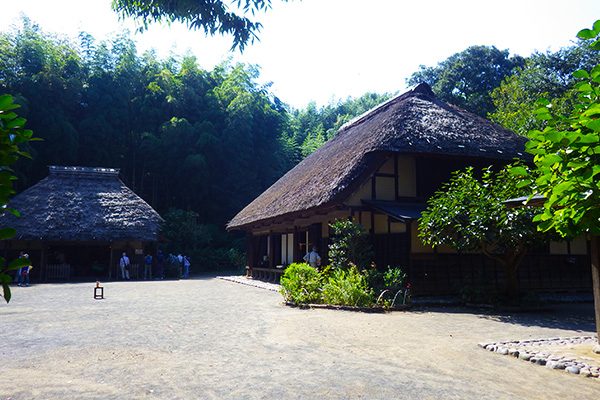 のどかな里山風景を残す舞岡公園コース