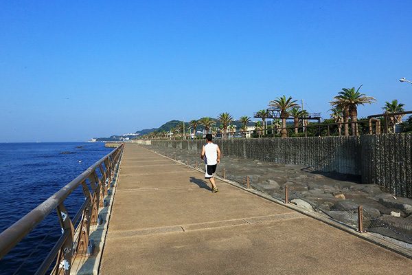 猿島を眺めながら！横須賀シーサイドコース