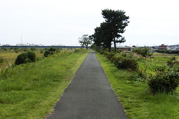 平坦で走りやすい、酒匂川サイクリングコース