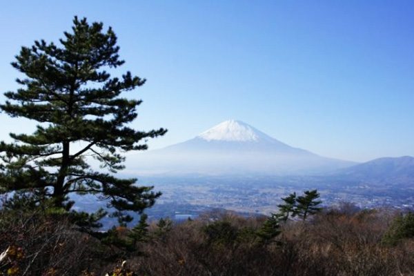 歴史ある足柄街道で坂道練習、足柄峠コース