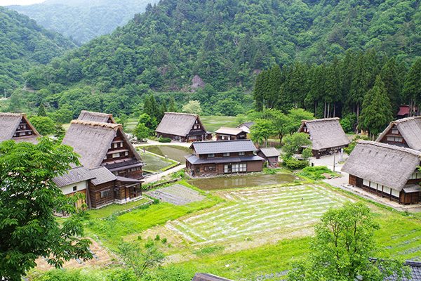 涼しく夏ラン！大自然を走れる八乙女山コース