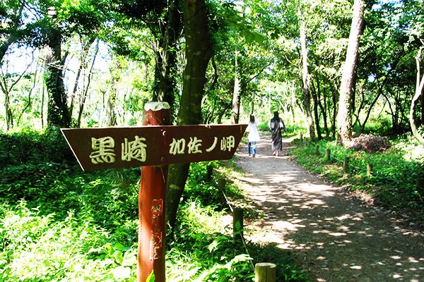 断崖上の遊歩道がいい！加賀国定公園シーサイドコース