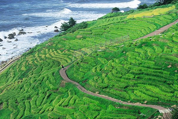 輪島海岸と白米