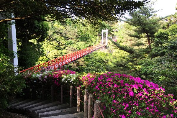 遠島山公園周回コース