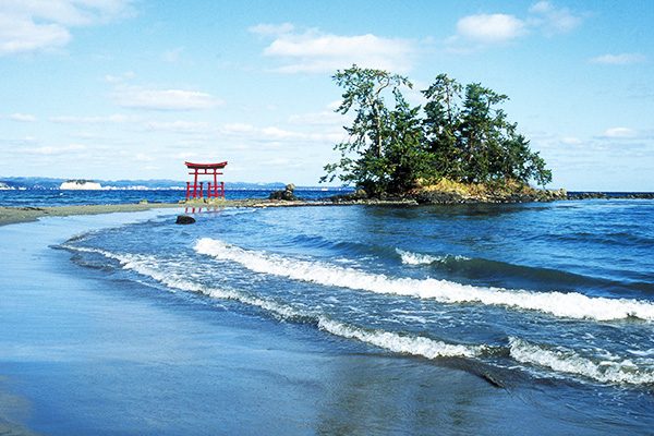 穏やかな海岸線を走る、恋路海岸・見附島コース