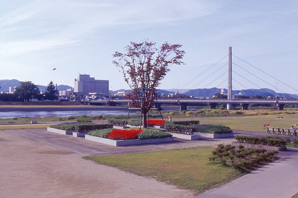 春には菜の花ロード！日野川河川敷コース