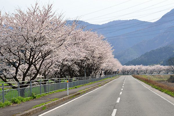 一味違う景色・若狭西街道～佐分利街道コース
