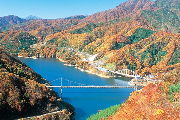 夢の架け橋からの絶景！九頭竜湖コース