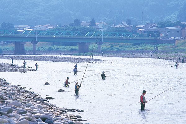 四季の風情を楽しむ九頭竜川サイクリングロード