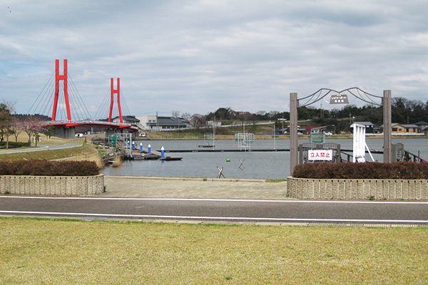 緑あふれる道を走る！北潟湖と田園風景コース
