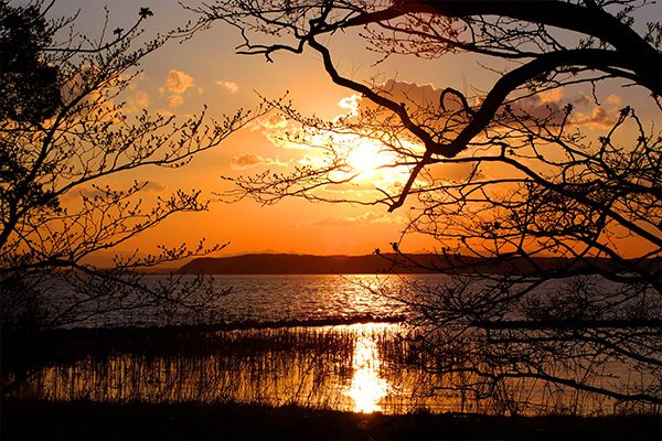 太平洋につながる汽水湖・小川原湖畔コース