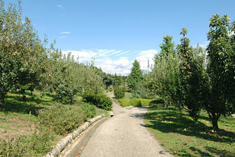 急坂を上る！「ほったらかし温泉」コース