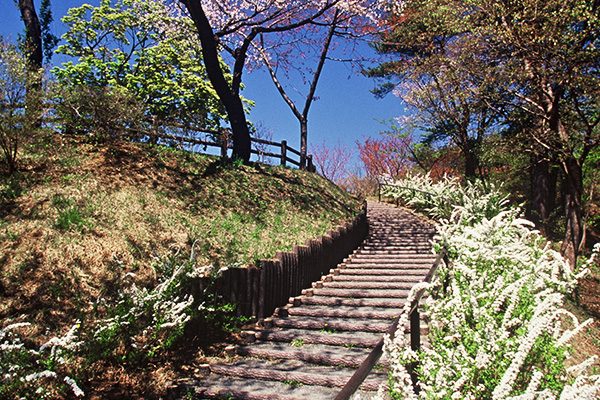 田園を走り、山を上る高森山総合運動公園コース