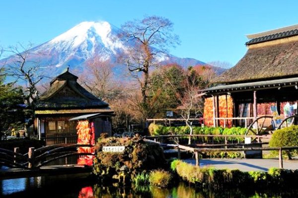 忍野八海、ハリモミ純林、花の都公園コース
