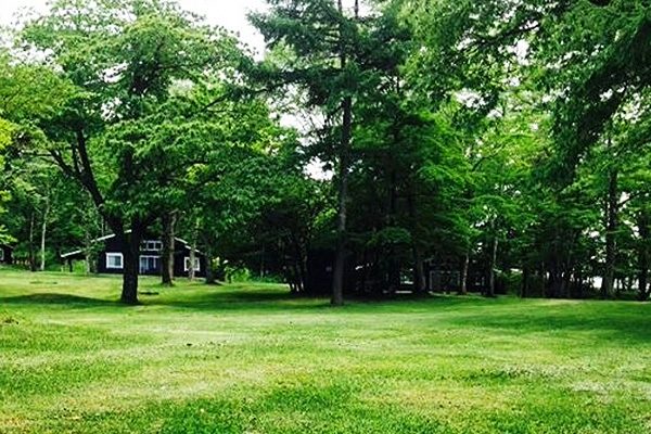 クロストレーニングも！中軽井沢森林浴コース